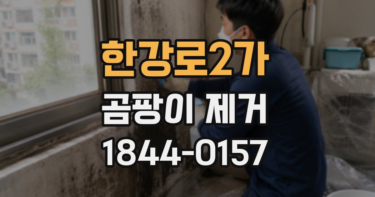 한강로2가 곰팡이 제거