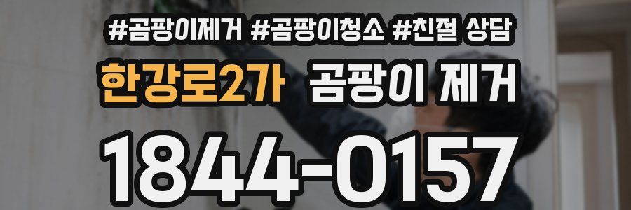한강로2가 곰팡이 제거