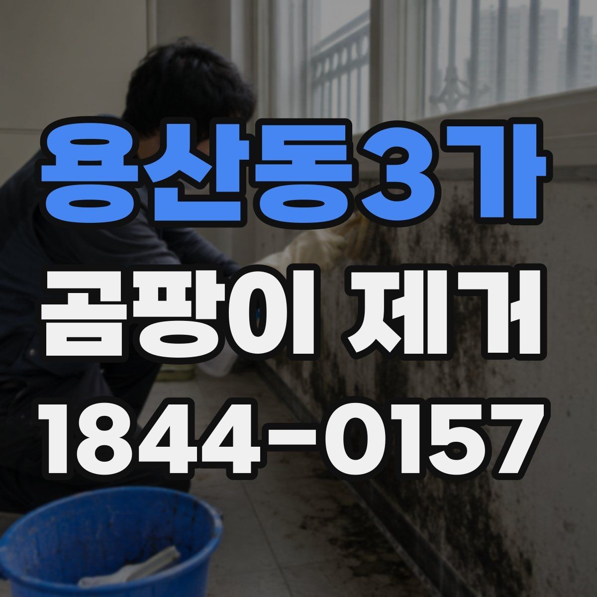용산동3가 곰팡이 제거 대상별로 다른 처리 방식