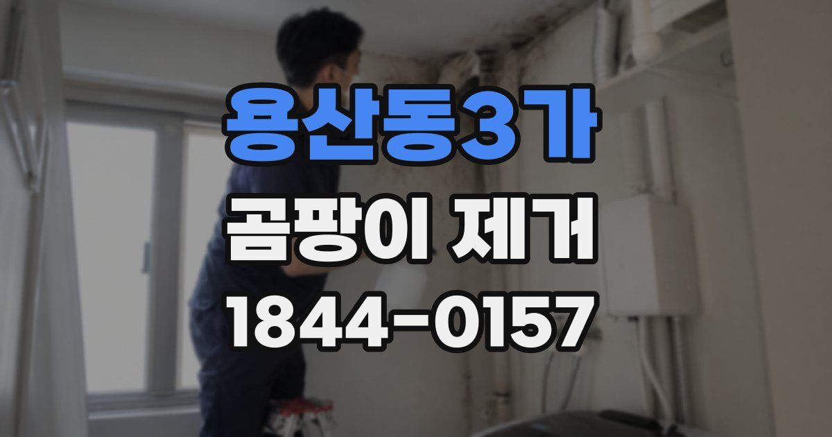 용산동3가 곰팡이 제거