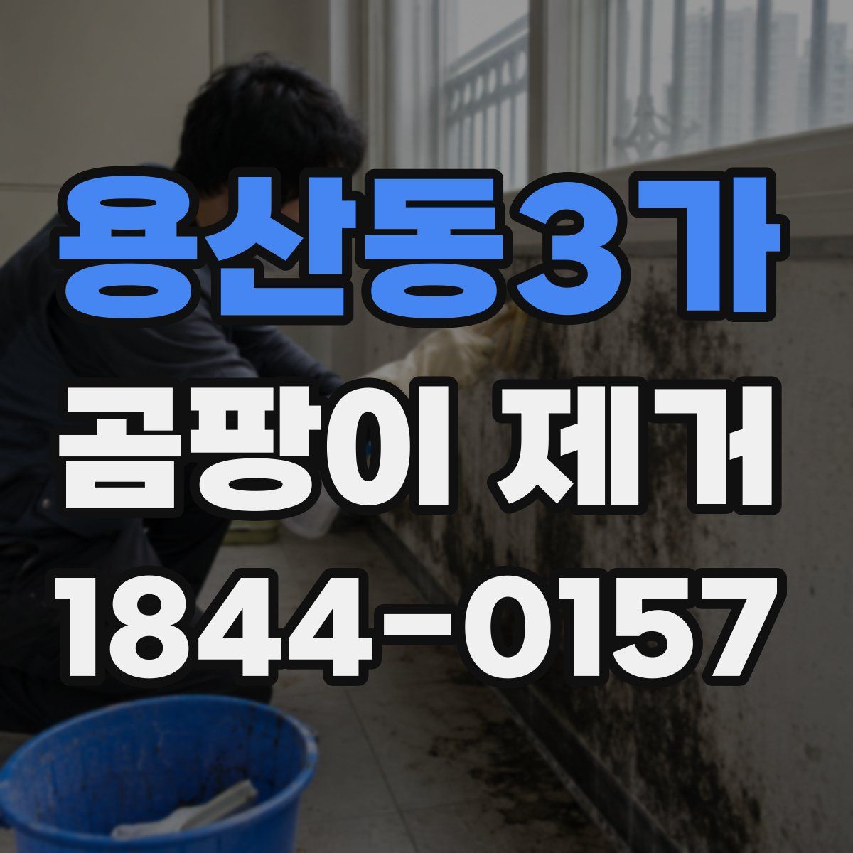 용산동3가 곰팡이 제거