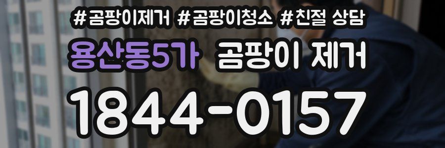 용산동5가 곰팡이 제거