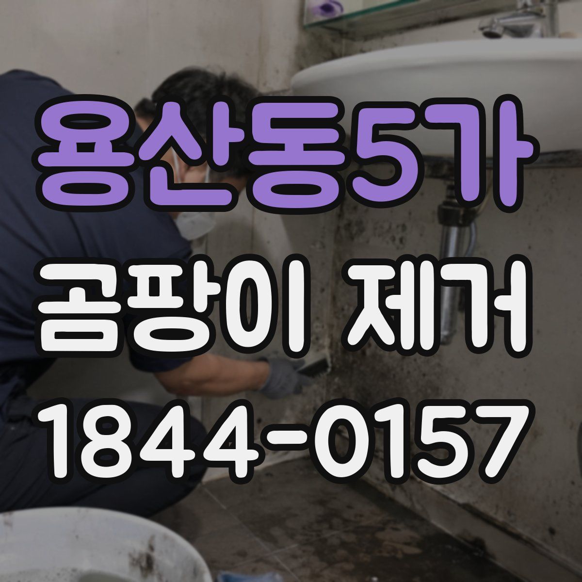 용산동5가 곰팡이 제거