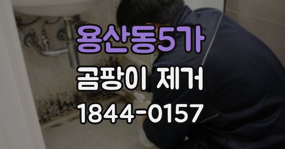 용산동5가 곰팡이 제거