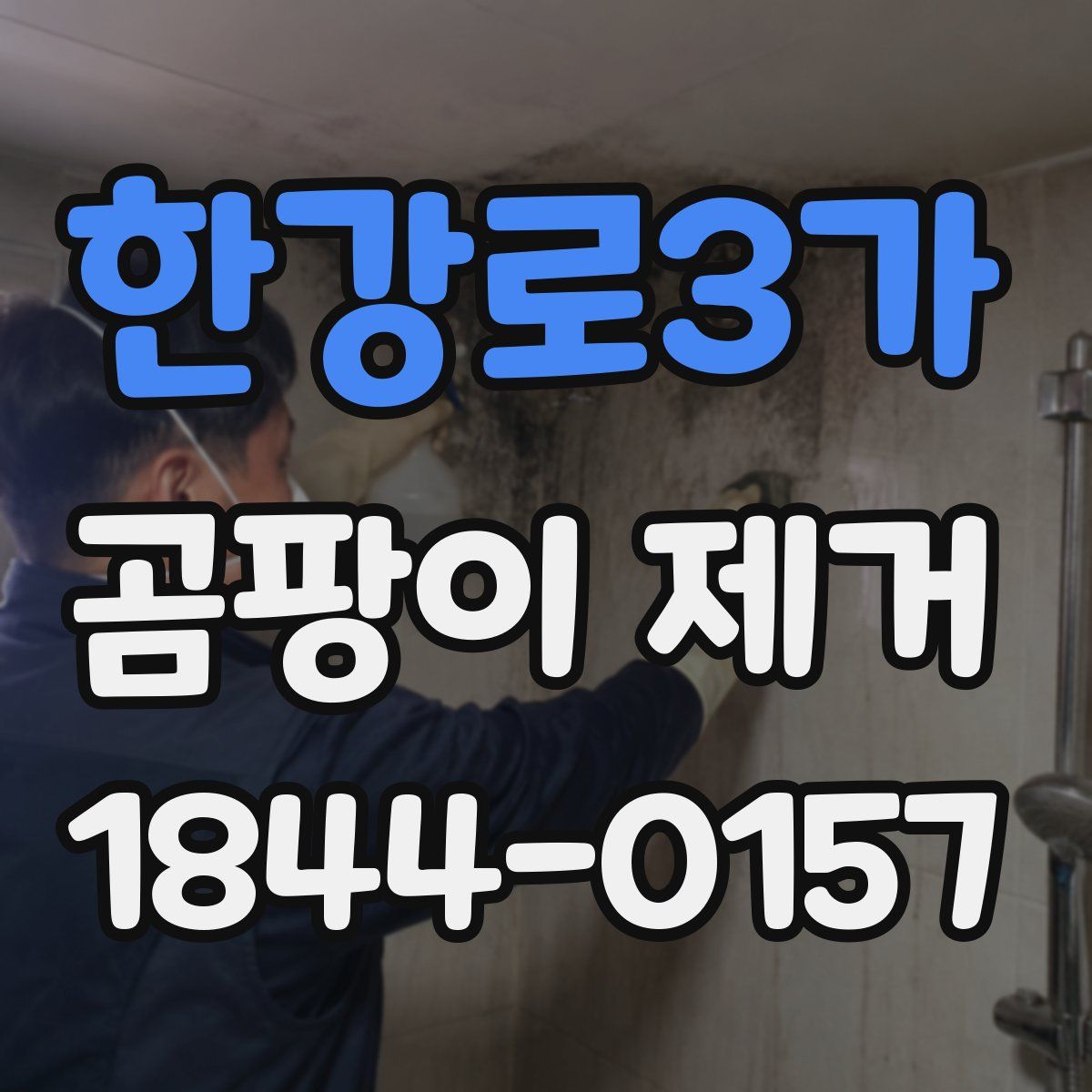 한강로3가 곰팡이 제거