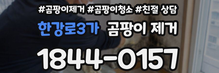 한강로3가 곰팡이 제거