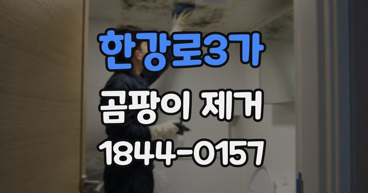 한강로3가 곰팡이 제거