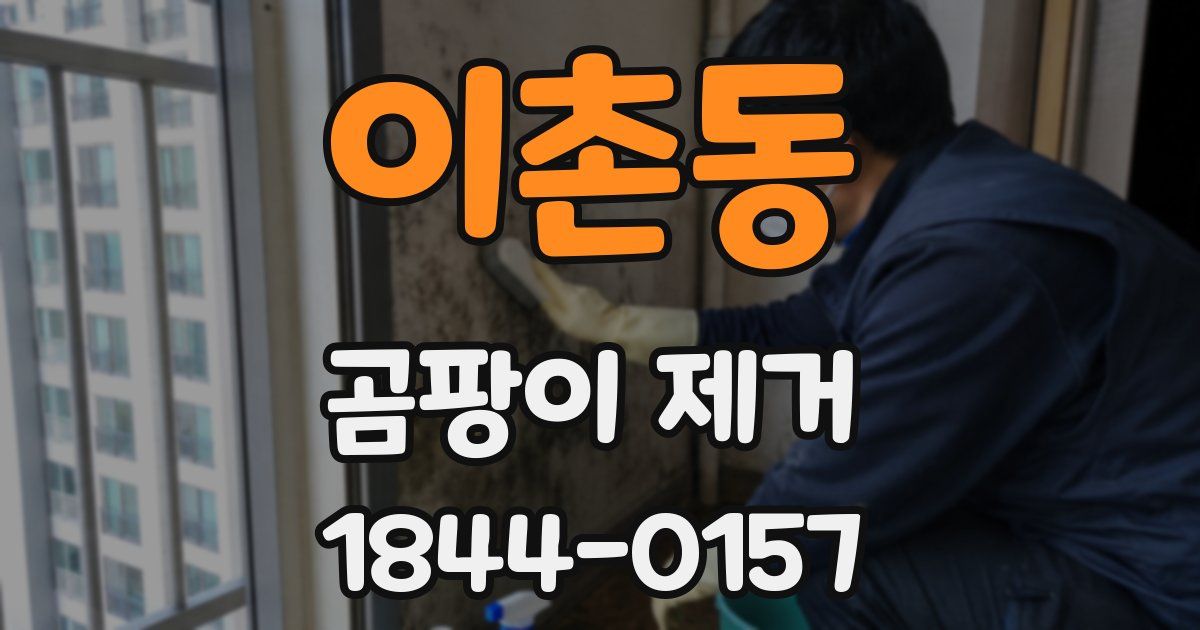 이촌동 곰팡이 제거
