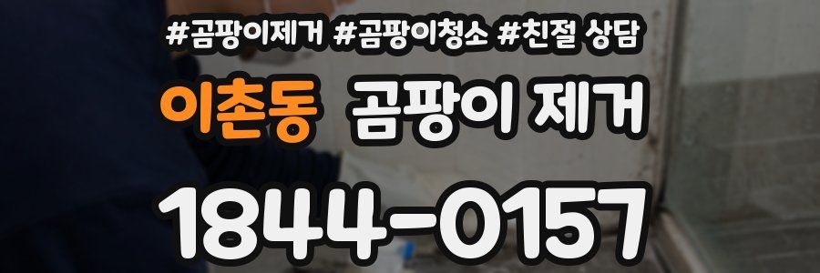 이촌동 곰팡이 제거