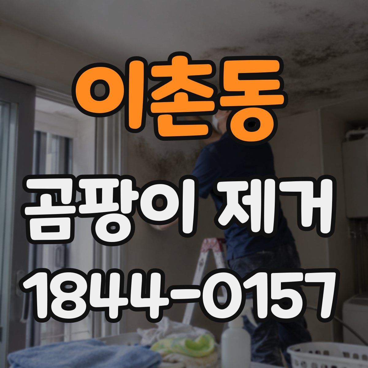 이촌동 곰팡이 제거