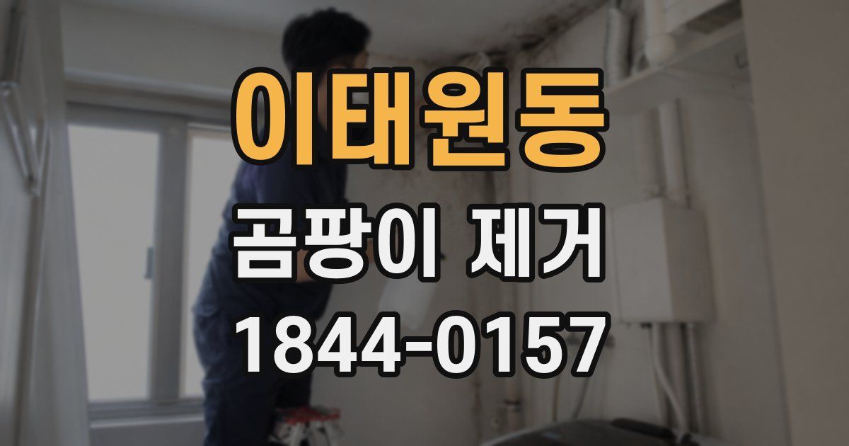 이태원동 곰팡이 제거