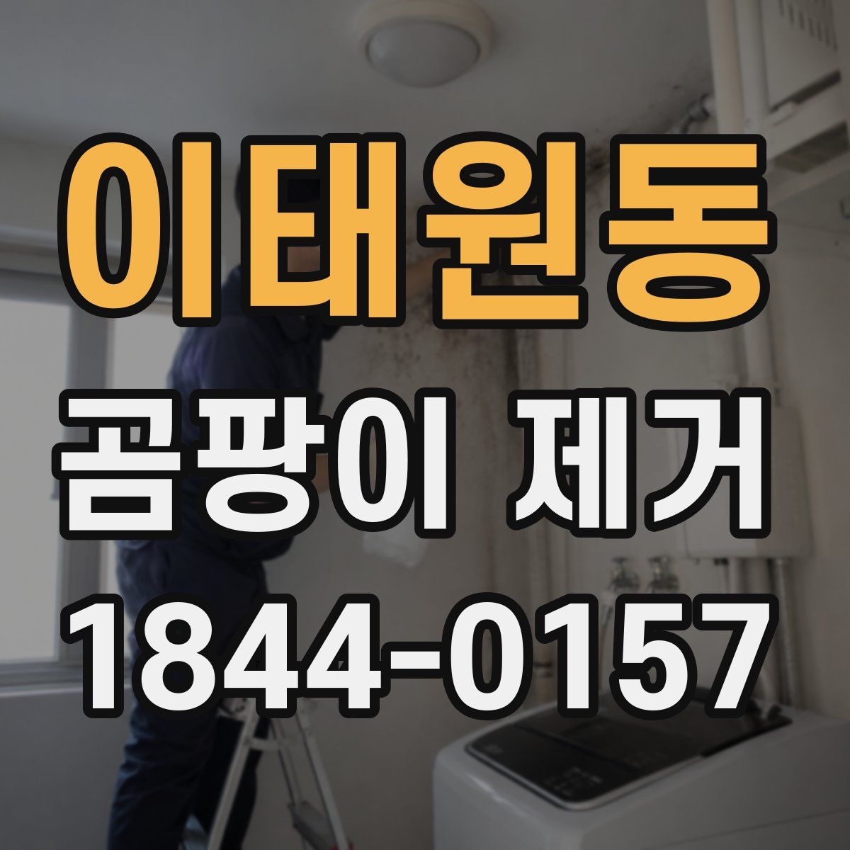 이태원동 곰팡이 제거