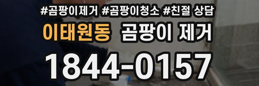 이태원동 곰팡이 제거