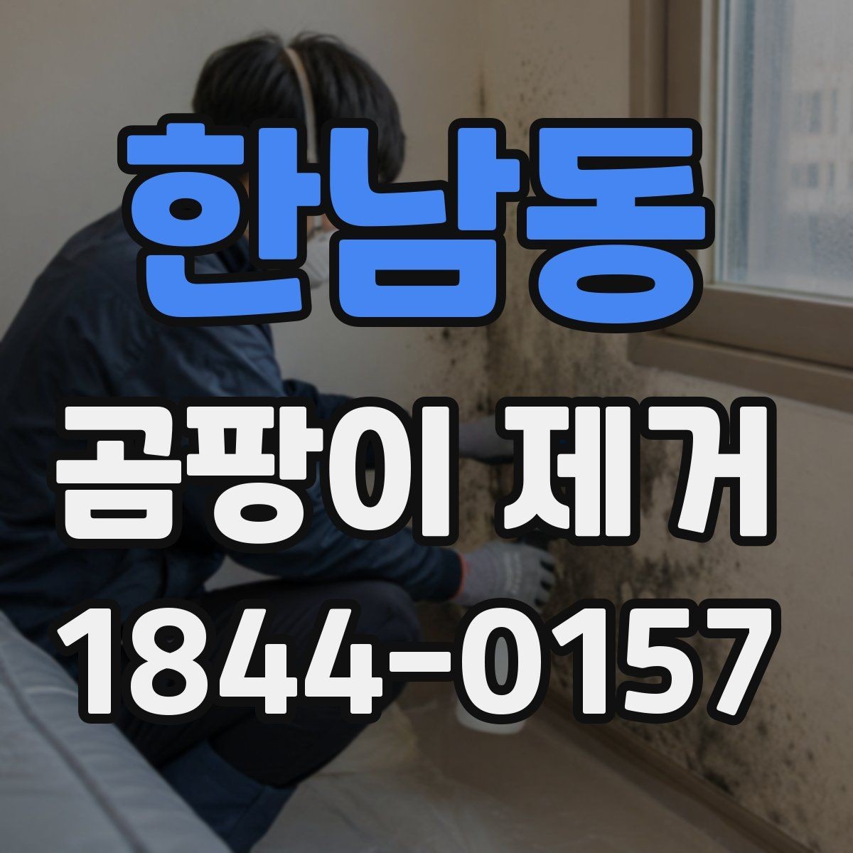 한남동 곰팡이 제거 업체를 고를 때 보는 항목