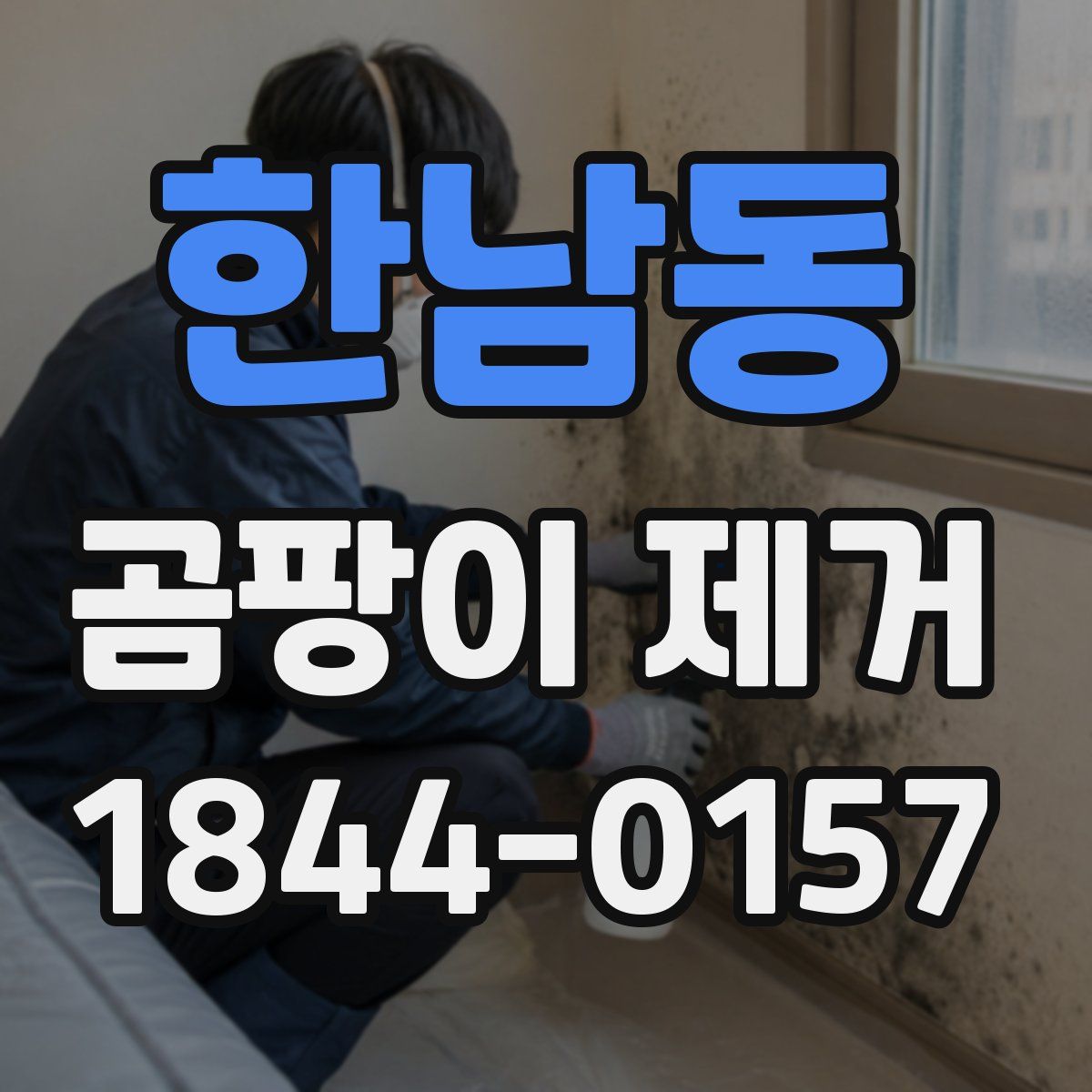 한남동 곰팡이 제거