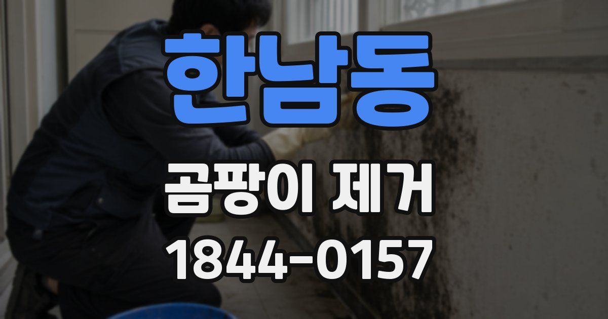 한남동 곰팡이 제거