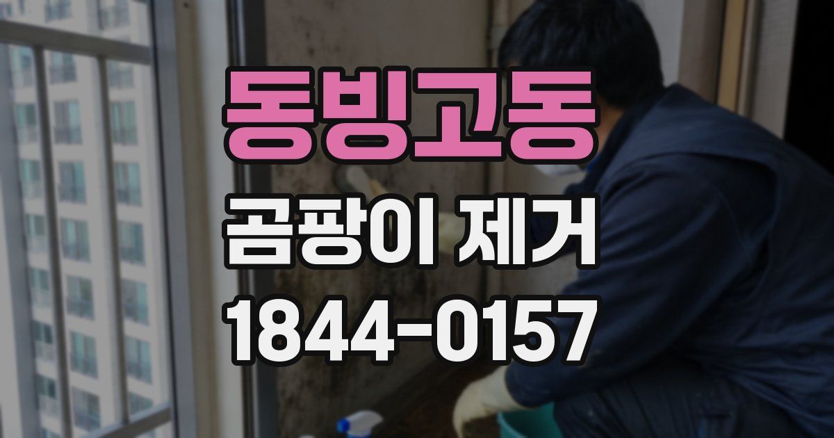 동빙고동 곰팡이 제거