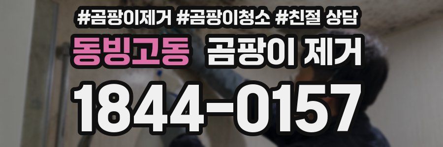 동빙고동 곰팡이 제거