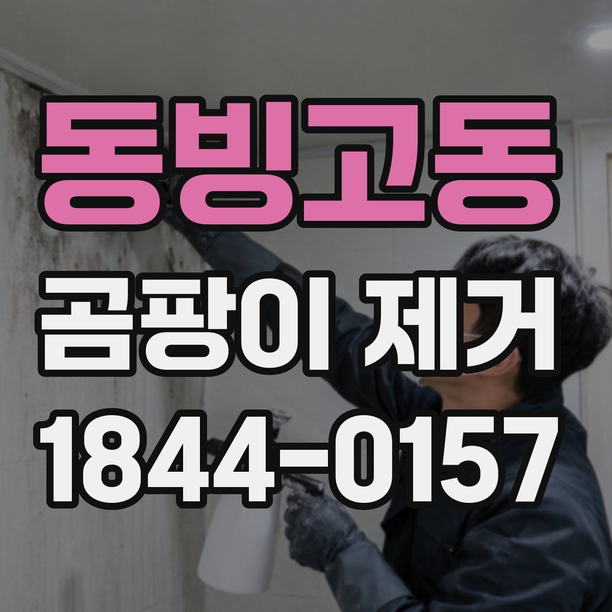 동빙고동 곰팡이 제거