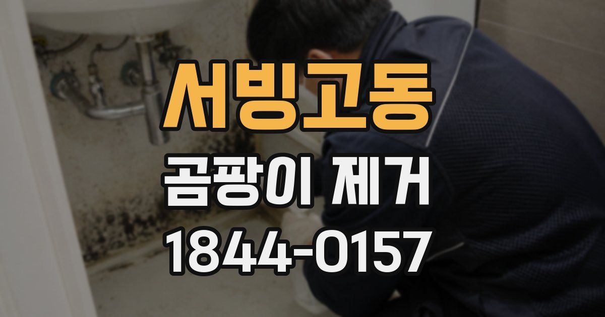 서빙고동 곰팡이 제거