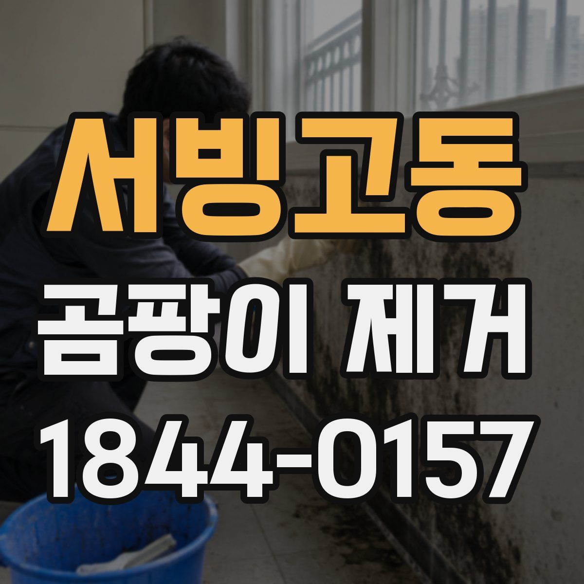 서빙고동 곰팡이 제거