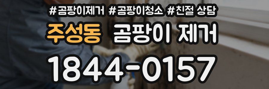 주성동 곰팡이 제거