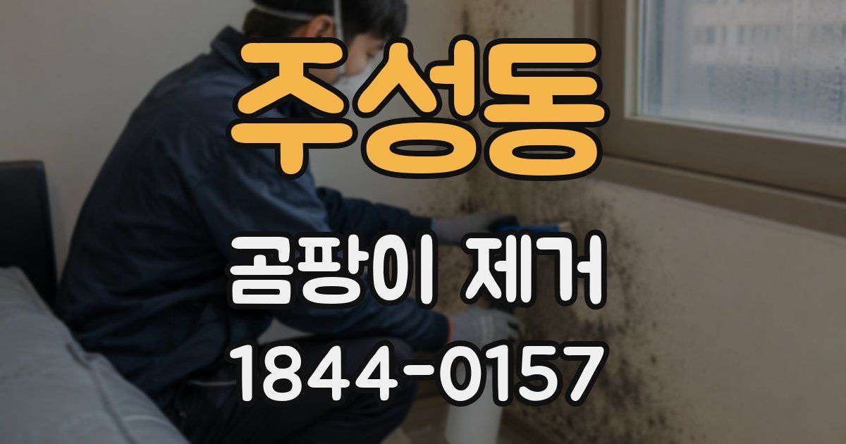 주성동 곰팡이 제거
