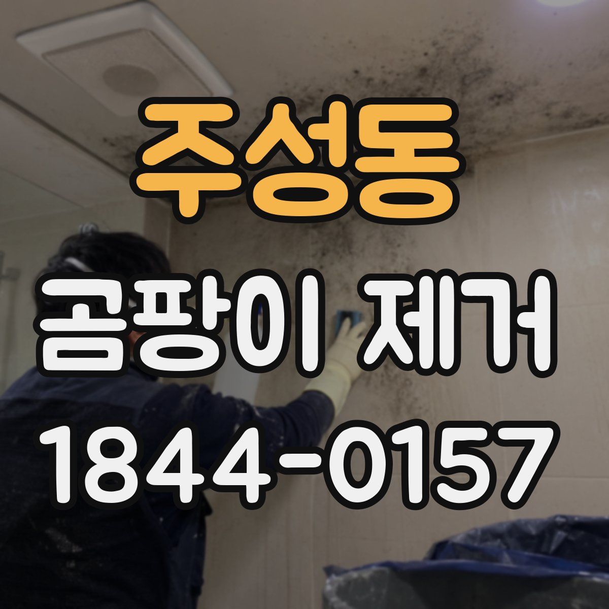 주성동 곰팡이 제거