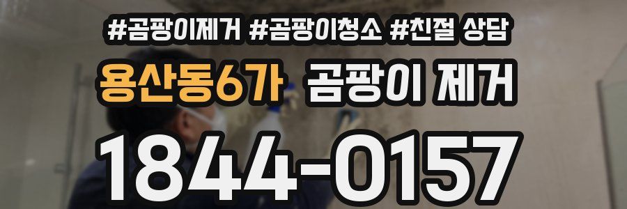 용산동6가 곰팡이 제거