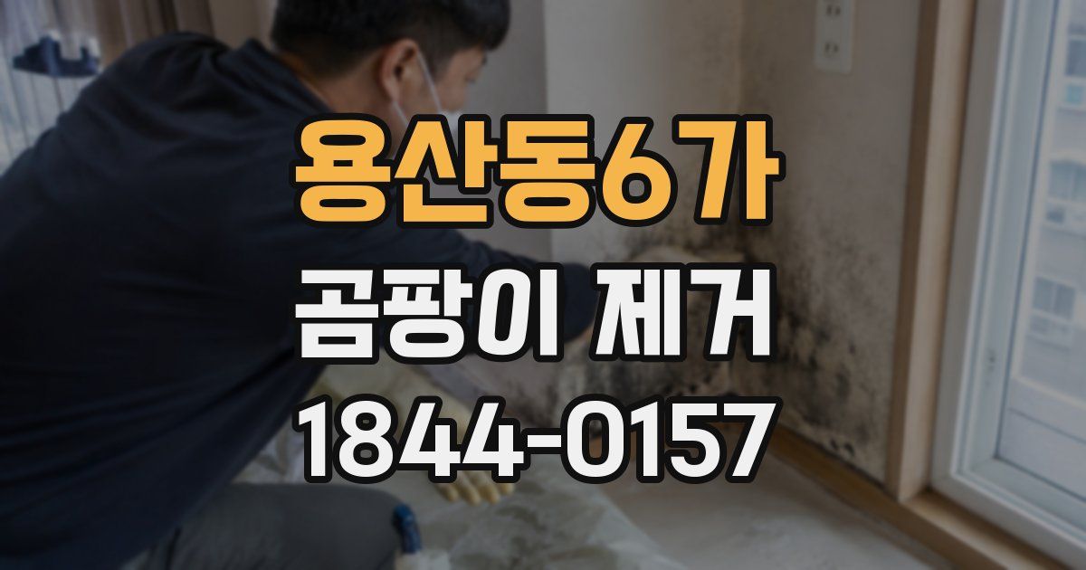 용산동6가 곰팡이 제거