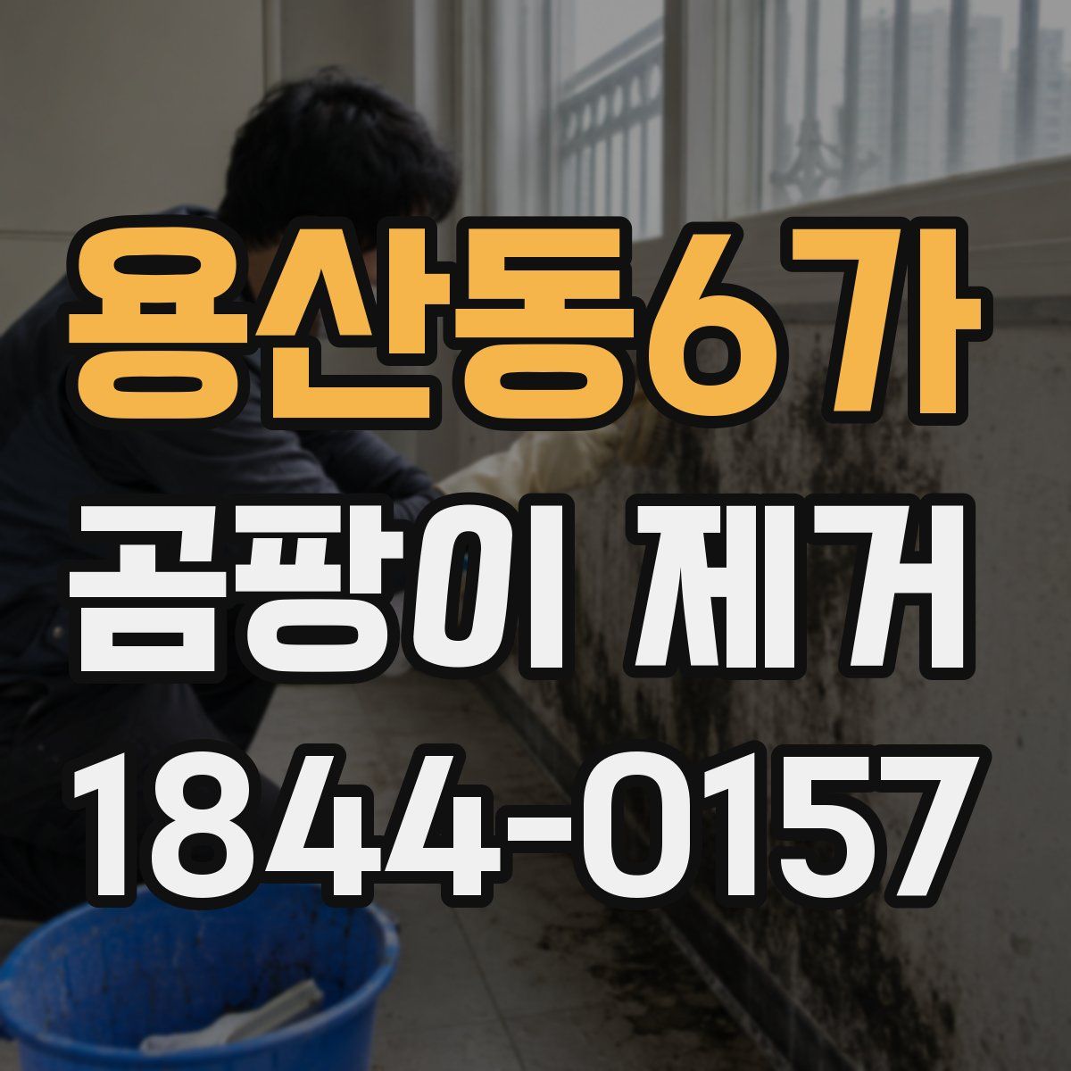 용산동6가 곰팡이 제거