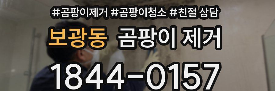 보광동 곰팡이 제거