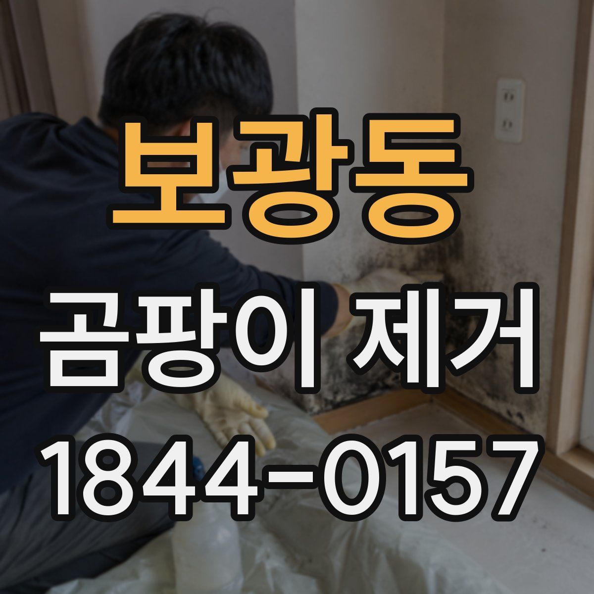 보광동 곰팡이 제거