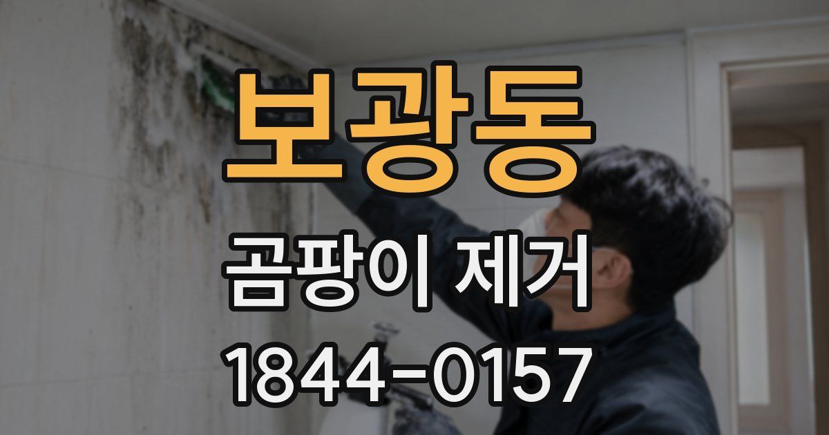 보광동 곰팡이 제거