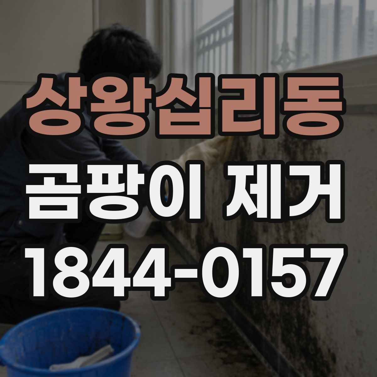 상왕십리동 곰팡이 제거