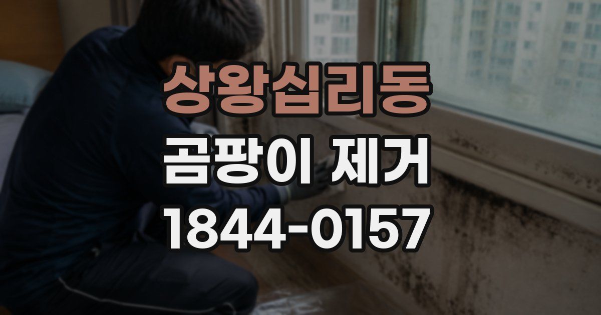 상왕십리동 곰팡이 제거