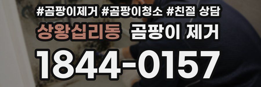 상왕십리동 곰팡이 제거