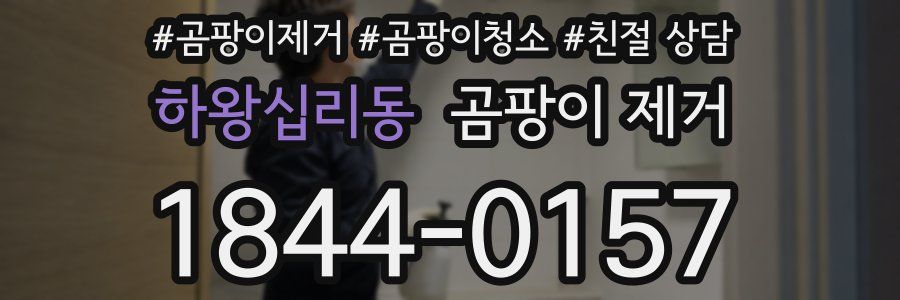 하왕십리동 곰팡이 제거