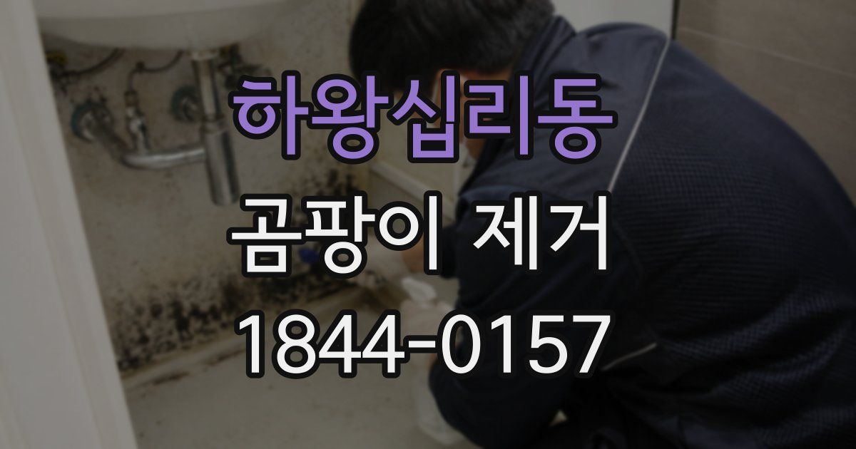 하왕십리동 곰팡이 제거