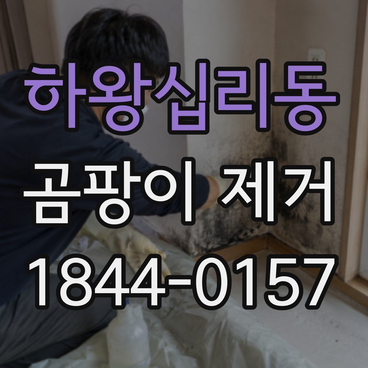 하왕십리동 곰팡이 제거