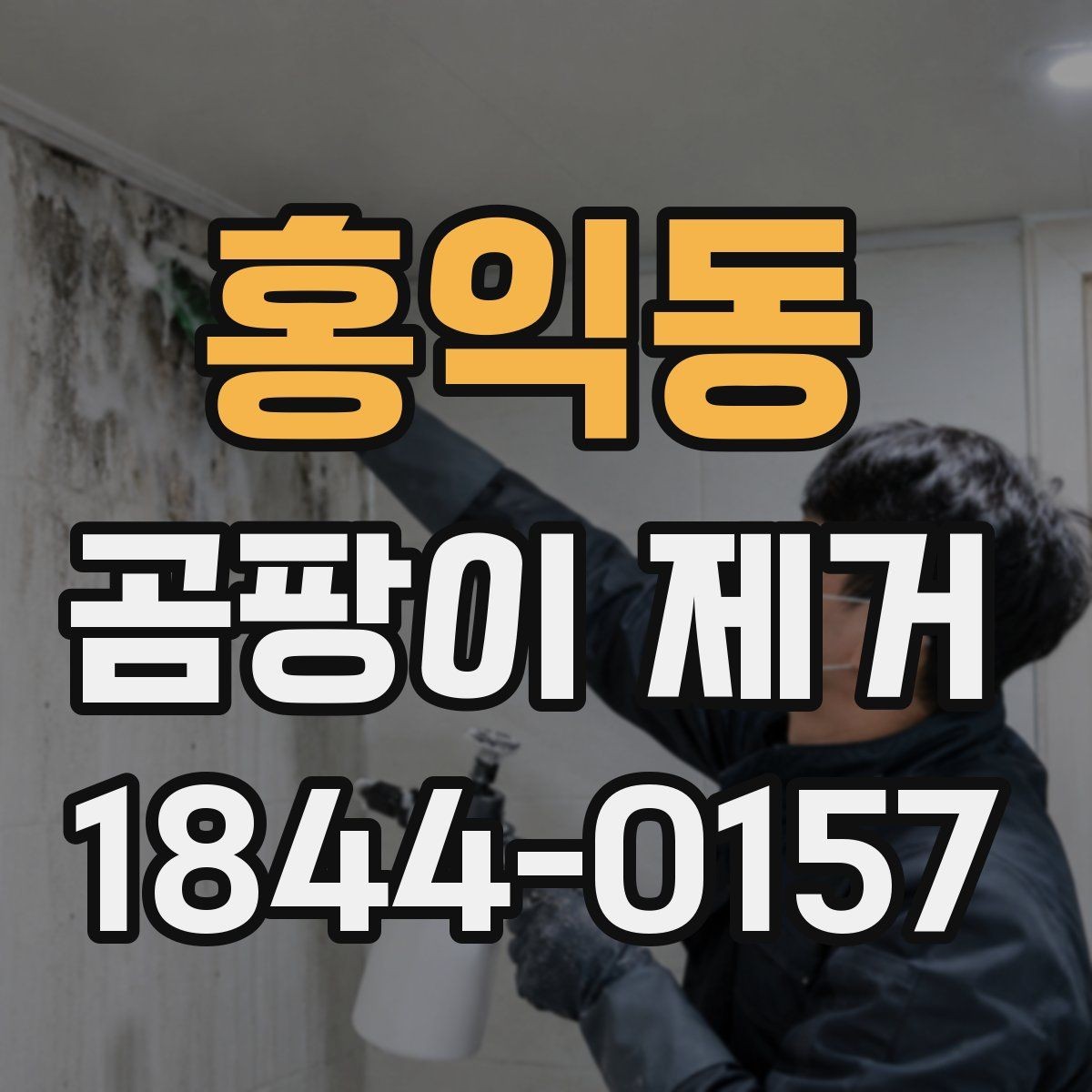 홍익동 곰팡이 제거 전문가 상담 전 준비하면 좋은 정보