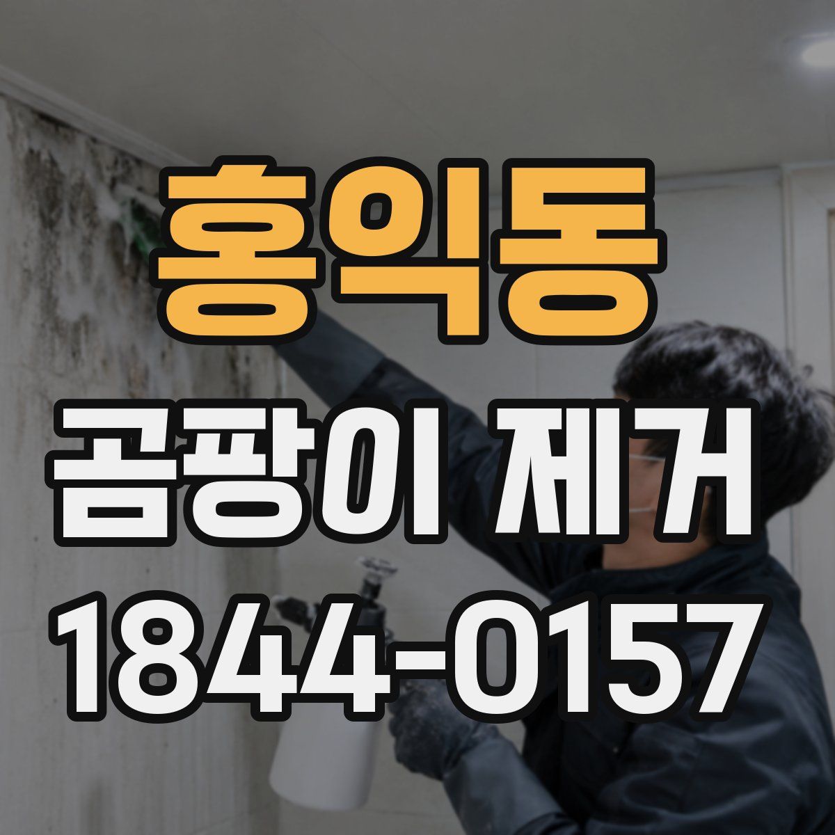 홍익동 곰팡이 제거