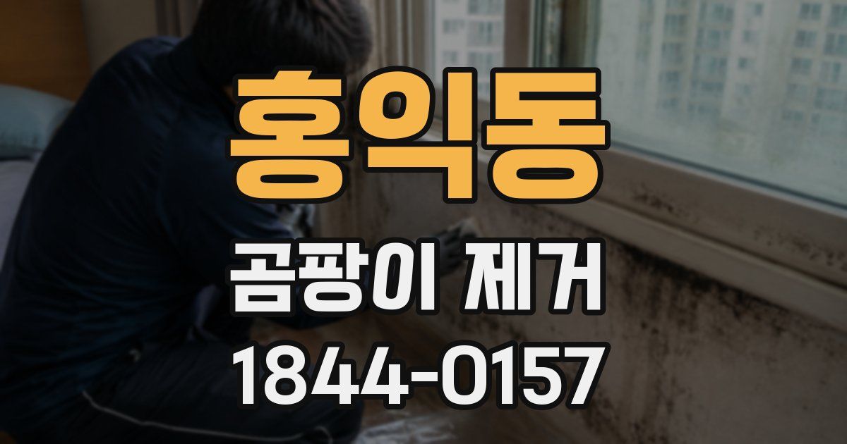 홍익동 곰팡이 제거