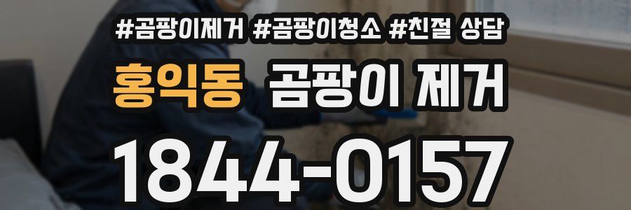 홍익동 곰팡이 제거