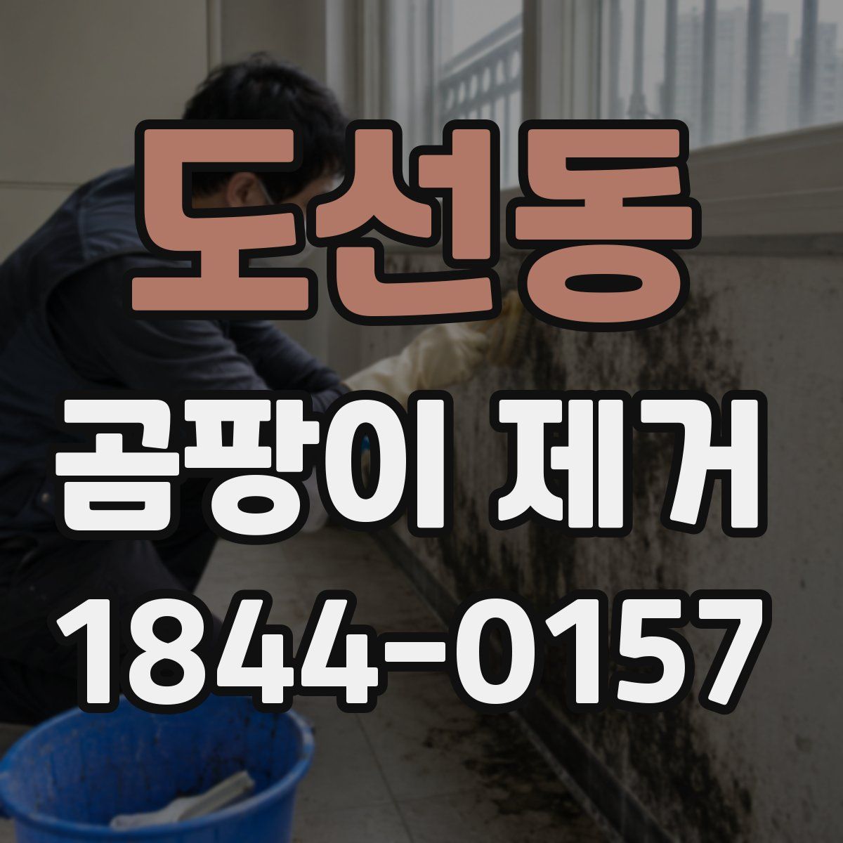 도선동 곰팡이 제거