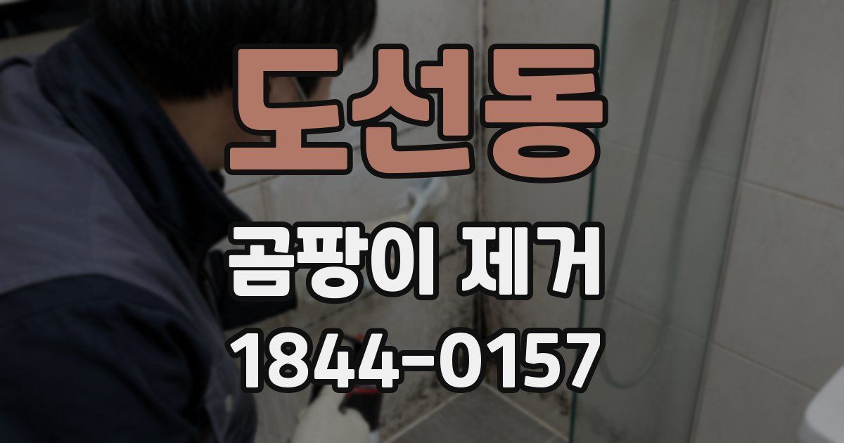 도선동 곰팡이 제거
