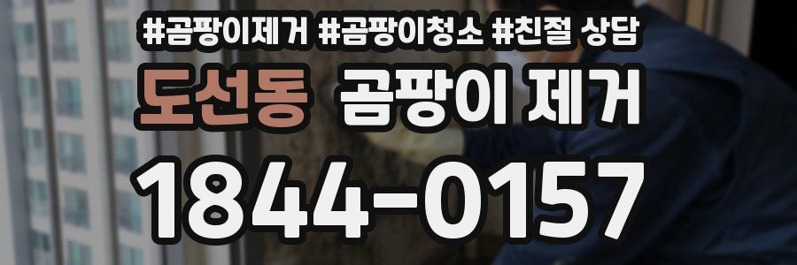 도선동 곰팡이 제거