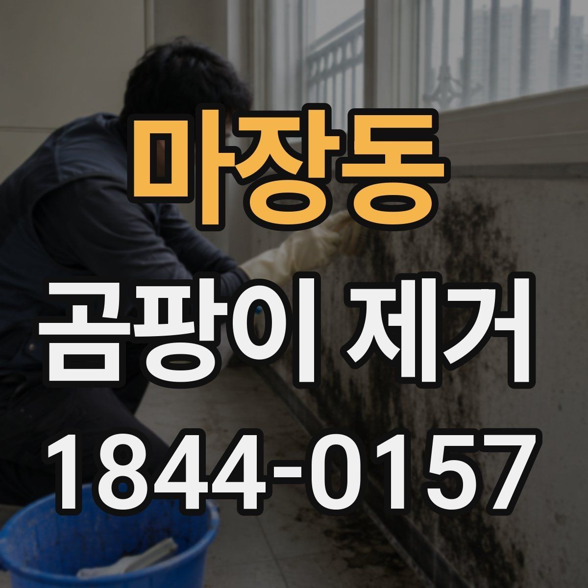마장동 곰팡이 제거 전에 체크할 창문 주변 상태