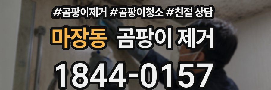 마장동 곰팡이 제거