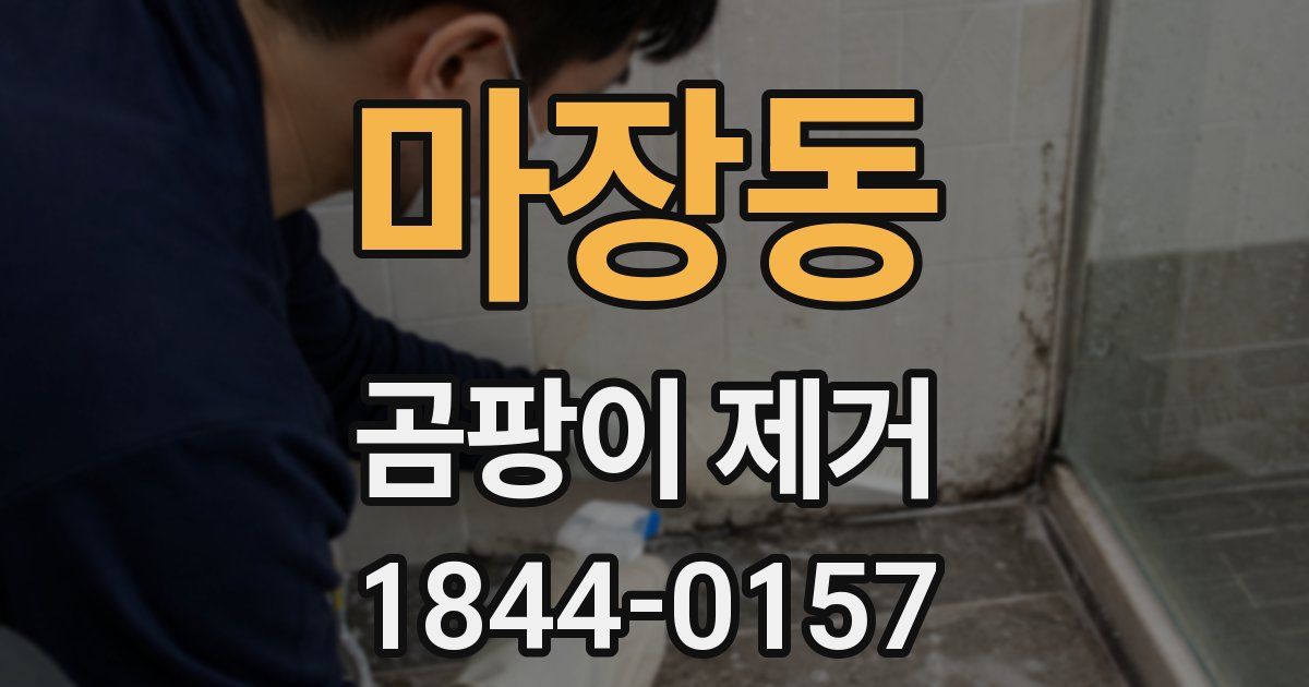 마장동 곰팡이 제거